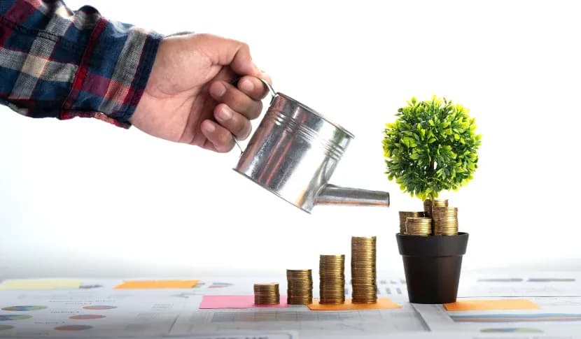 A SaaS Platform for Efficient Mutual Fund Investment and Management