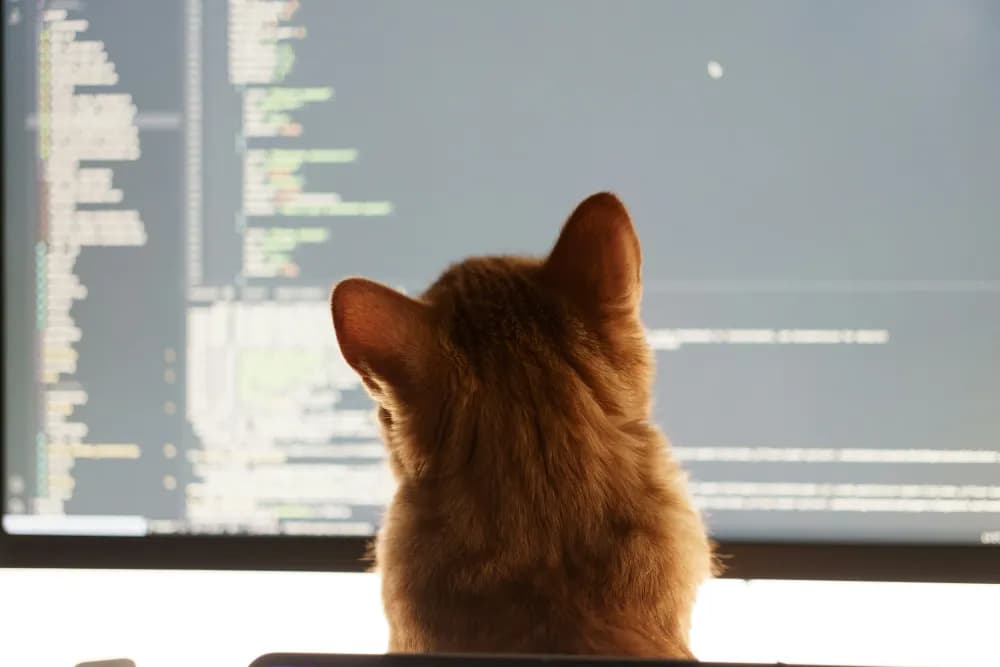 Is 'Vibe Coding' The Future? A Reality Check on AI-Generated Software.